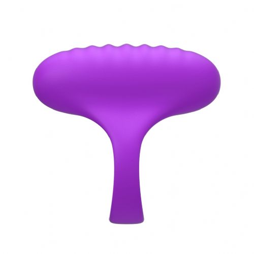 R˹ ih