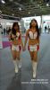 2009޳˲[AAEFShowGirlsDƬ4