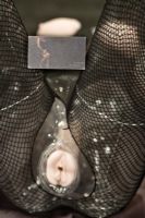 2011(gu)ɼչeXXXoticaʼ\DƬ14
