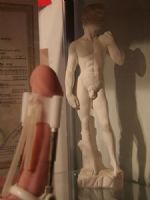 20079ÓSչErotsFDƬ18