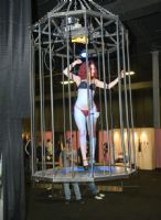 2015eXXXoticaչF\DƬ20